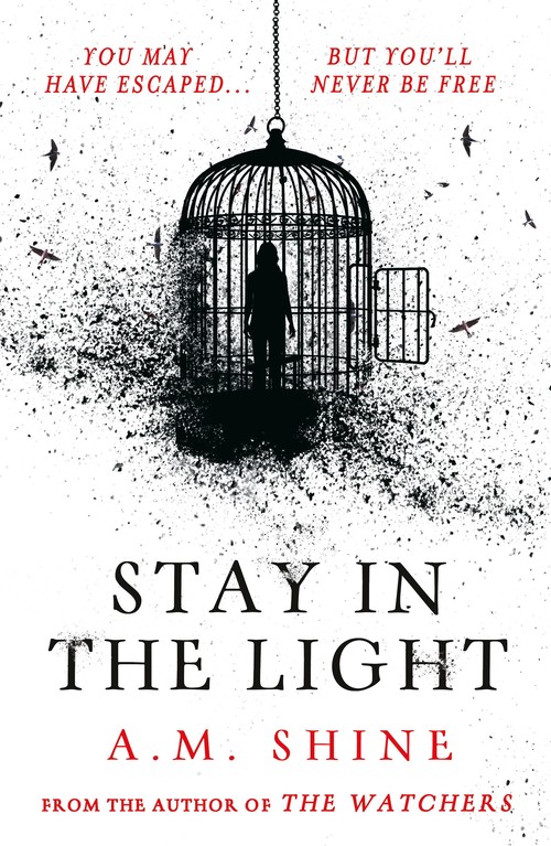Stay in the Light