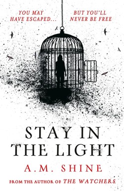 Stay in the Light