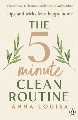 The The 5 Minute Clean Routine