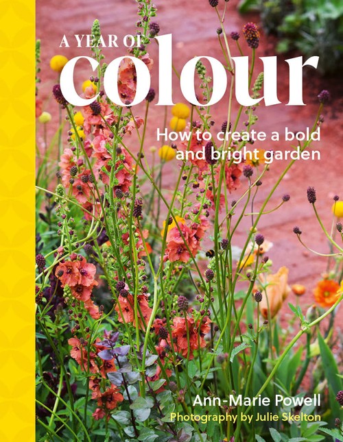 A Year of Colour