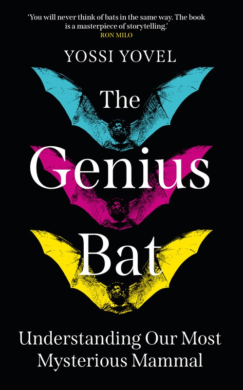 The Genius Bat