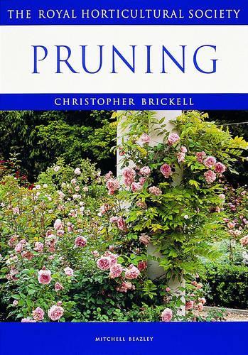 Pruning