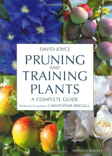 Pruning and Training Plants