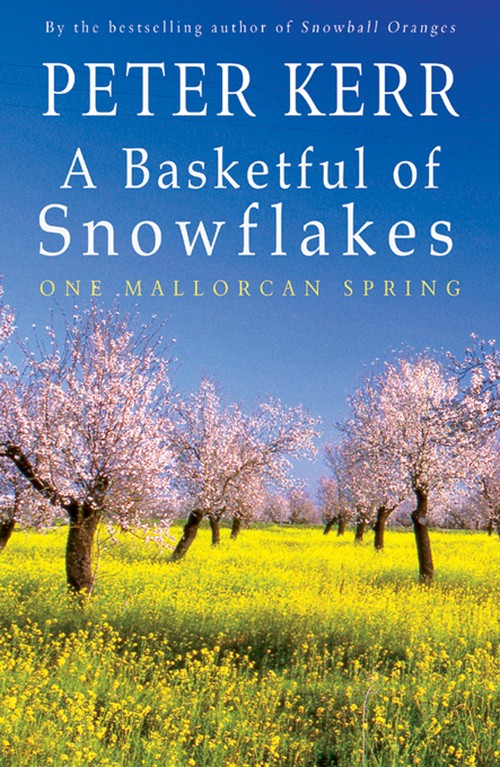 A Basketful of Snowflakes