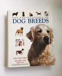 Dog Breeds