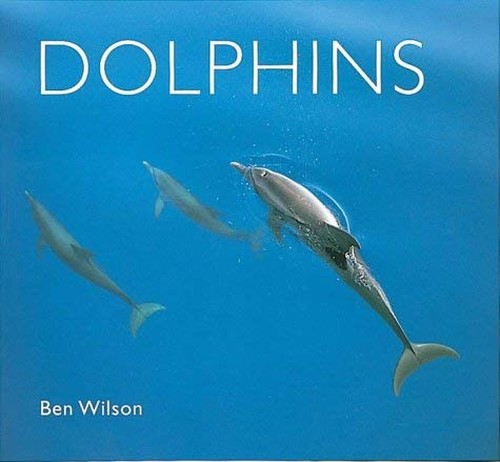 Dolphins