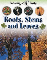 LOOKING AT PLANTS ROOTS STEMS & LE