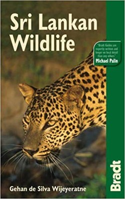 Sri Lankan Wildlife