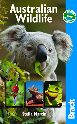 Australian Wildlife