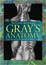 Gray's Anatomy
