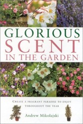 Glorious Scent in the Garden