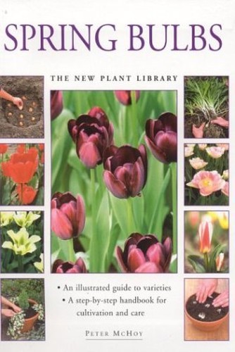 Spring Bulbs