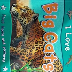 I Love Big Cats