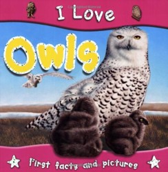 I Love Owls