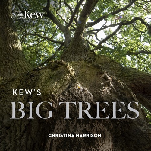 Kews Big Trees