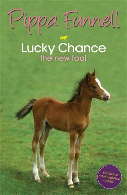 Tilly's Pony Tails: Lucky Chance the New Foal