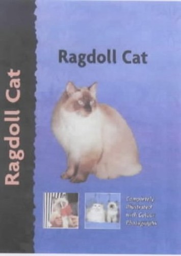 Ragdoll Cat