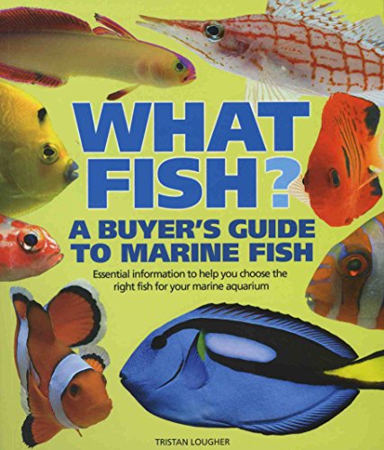 What Fish?