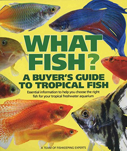 What Fish