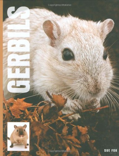 Gerbils