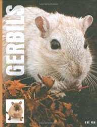 Gerbils