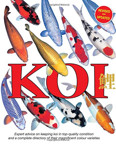 Koi