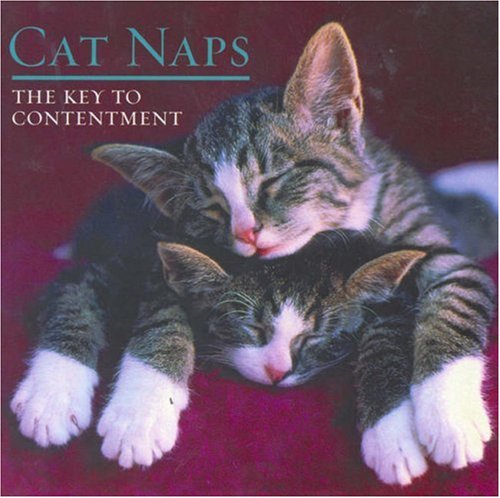 Cat Naps