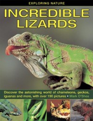 Exploring Nature: Incredible Lizards
