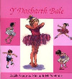 Dosbarth Bale, Y