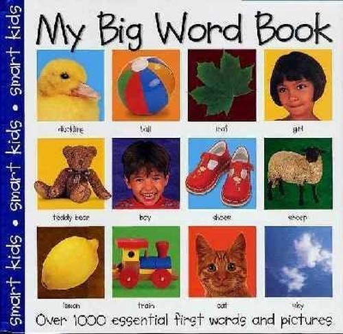 My Big Word Book