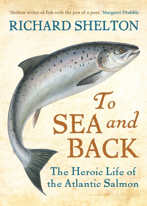 To Sea and Back