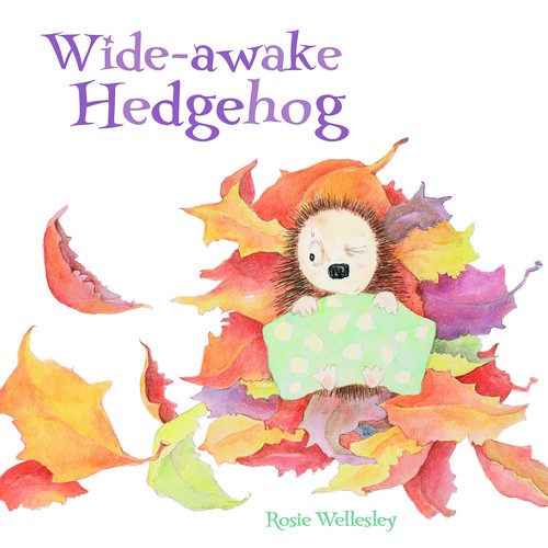 Wide-awake Hedgehog