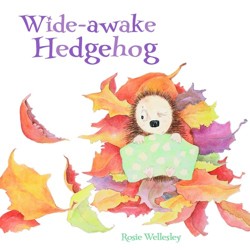Wide-awake Hedgehog