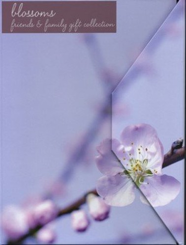 Blossom Deluxe Friends and Family Organise