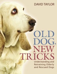 Old Dog, New Tricks