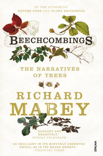 Beechcombings