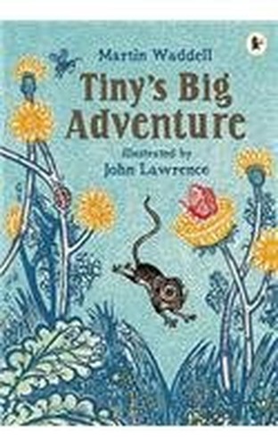 Tiny's Big Adventure