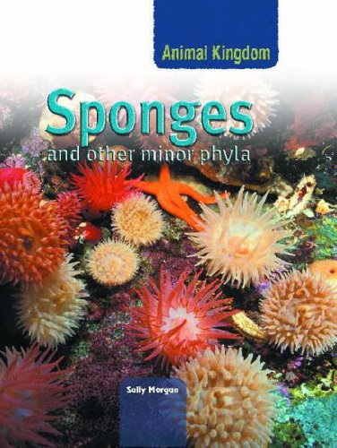 Animal Kingdom: Sponges and other phyla