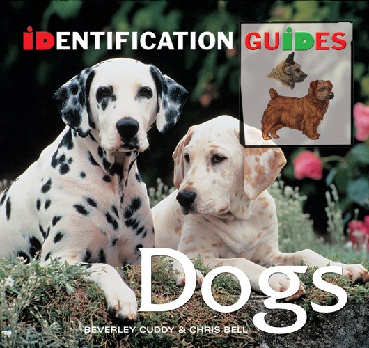 Dogs