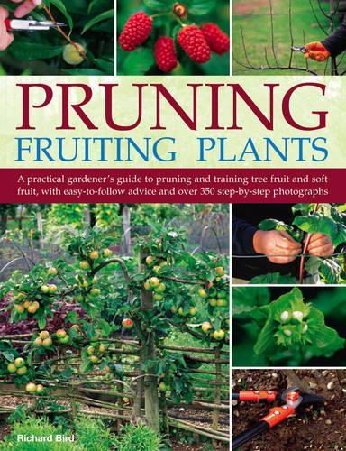 Pruning Fruiting Plants