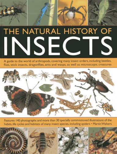 The Natural History of Insects