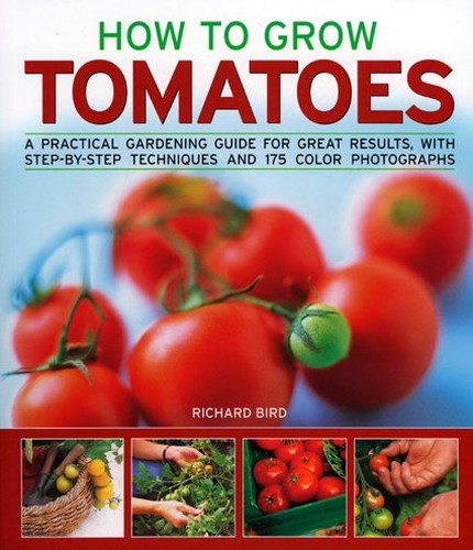 How to Grow Successful Tomatoes