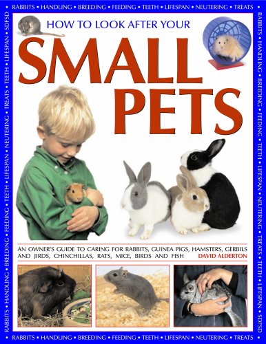 How to Look After Your Small Pets