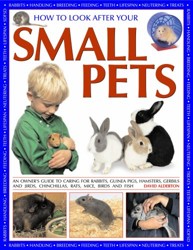 How to Look After Your Small Pets