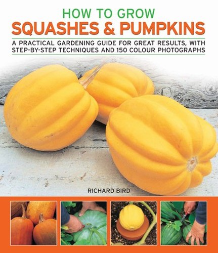 How to Grow Squashes and Pumpkins