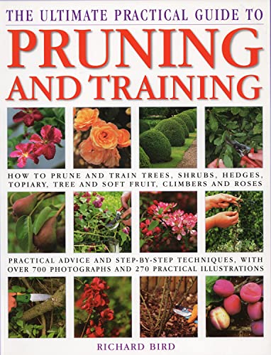 Pruning
