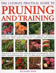 Pruning