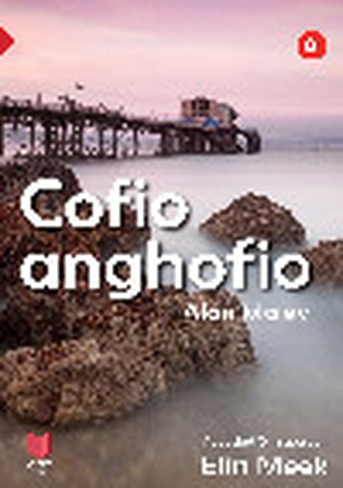 Cyfres Amdani: Cofio Anghofio