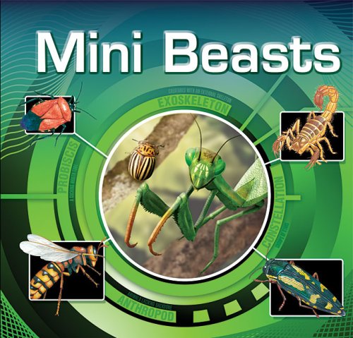 Mini Beasts