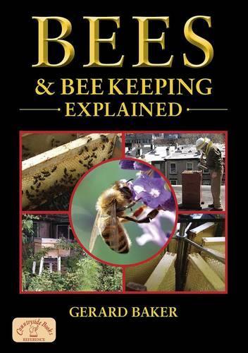 Bees and Bee Keeping Explained